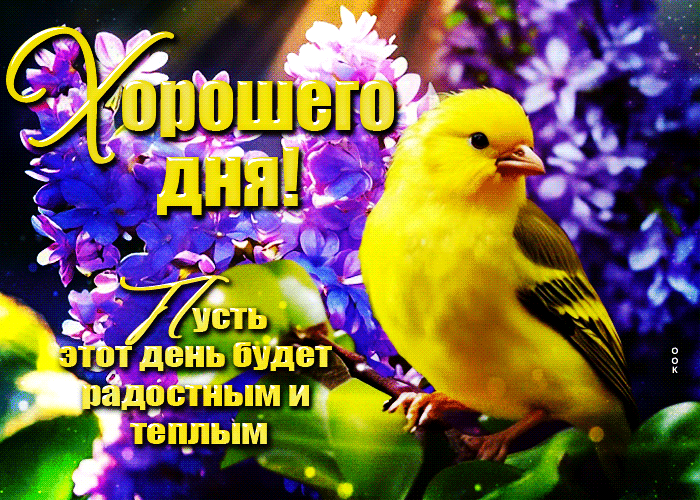 Картинка.png